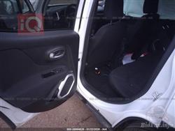 جيب رينيجيد